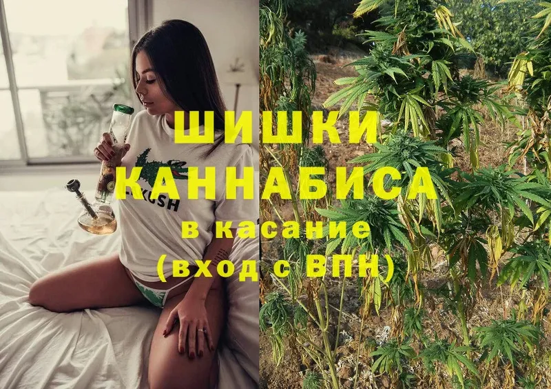 Марихуана White Widow  купить закладку  Кувандык 